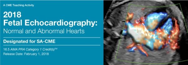 2018 fetal echocardiography normal and abnormal hearts cme videos 6387427b6d54c | Medical Books & CME Courses