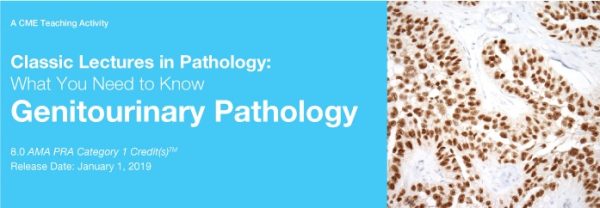 2019 classic lectures in pathology what you need to know genitourinary pathology cme videos 6387964399d78 | Medical Books & CME Courses