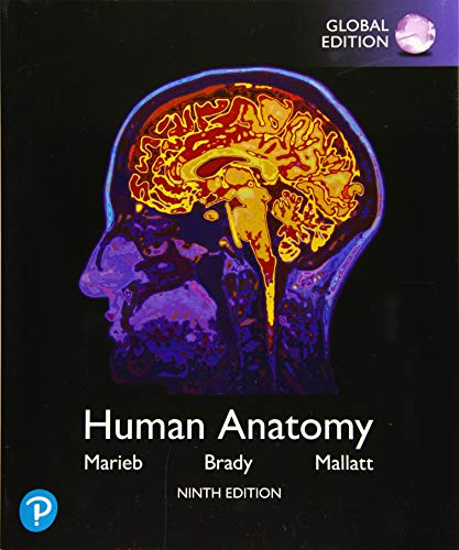 Human Anatomy, Global Edition, 9th Edition (Original PDF from Publisher) 2 | Medical Books & CME Courses human anatomy global edition 9th edition original pdf from publisher 6387d6c507286 | Medical Books & CME Courses