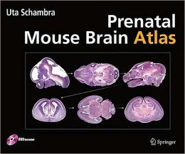 Prenatal Mouse Brain Atlas: Color images and annotated diagrams of: Gestational Days 12, 14, 16 and 18 Sagittal, coronal and horizontal section (PDF)