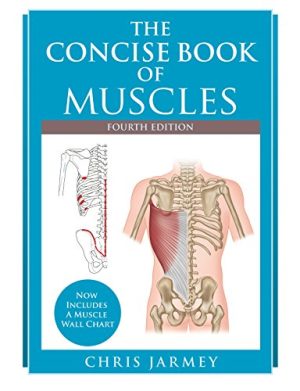 The Concise Book of Muscles, Fourth Edition (EPUB)