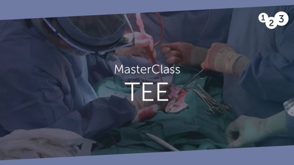 123sonography tee masterclass videos 638ce09ea5147 | Medical Books & CME Courses