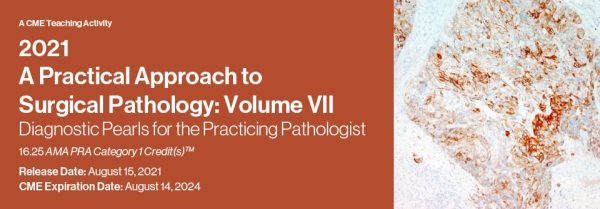 2021 a practical approach to surgical pathology volume vii diagnostic pearls for the practicing pathologist cme videos 63a1315457ddd | Medical Books & CME Courses