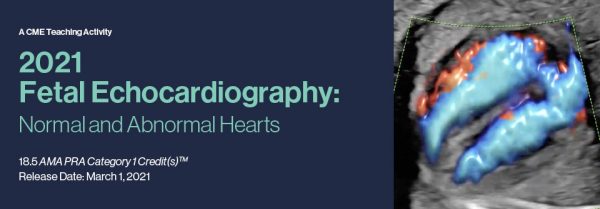 2021 fetal echocardiography normal and abnormal hearts cme videos 639b940688c17 | Medical Books & CME Courses