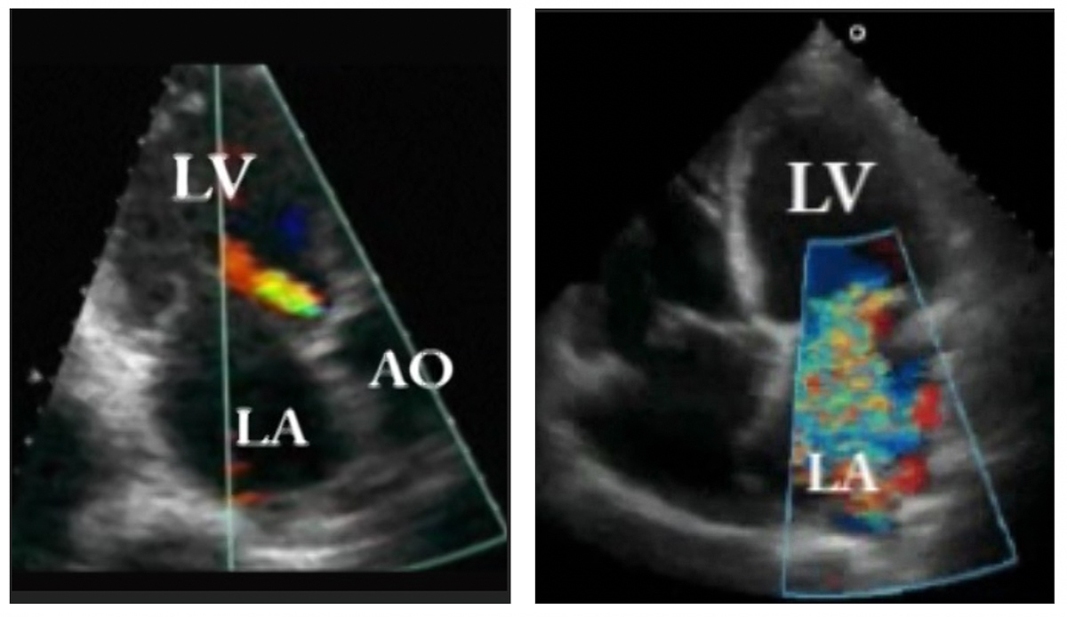 Cardiology Magazine Image