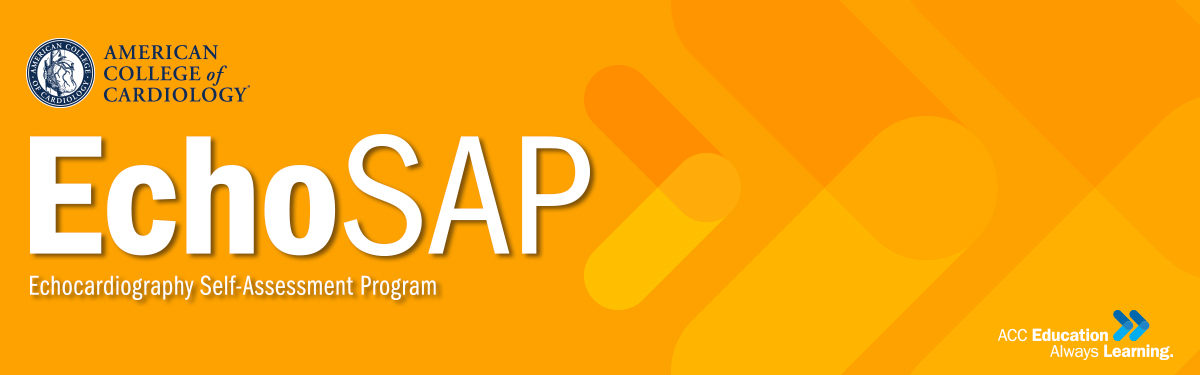 EchoSAP (Echocardiography Self-Assessment Program) 2020 (CME VIDEOS) 2 | Medical Books & CME Courses echosap echocardiography self assessment program 2020 cme videos 63a0283d8aaab | Medical Books & CME Courses