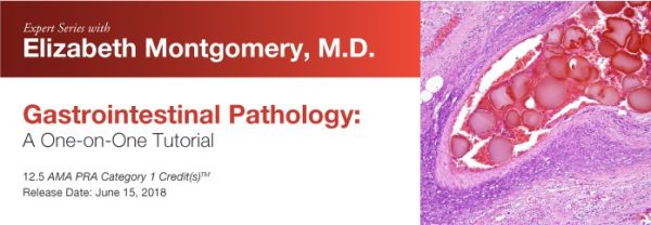 expert series with elizabeth montgomery m d gastrointestinal pathology a one on one tutorial 2018 cme videos 6387fecab0d2b | Medical Books & CME Courses