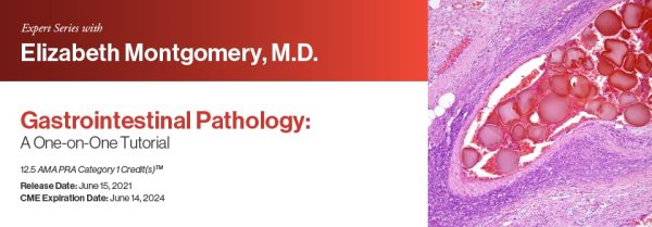 expert series with elizabeth montgomery m d gastrointestinal pathology a one on one tutorial 2021 cme videos 63a07c22e0cdc | Medical Books & CME Courses