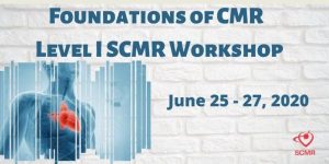 Foundations Of CMR – Level I SCMR Workshop 2020 (CME VIDEOS)