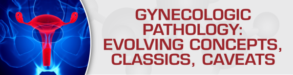 gynecologic pathology evolving concepts classics caveats 2020 cme videos 63a070ae5ee8f | Medical Books & CME Courses