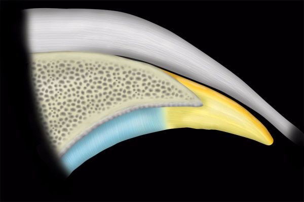 mrionline mri mastery series hip 2021 cme videos 63a135b4dec4f | Medical Books & CME Courses