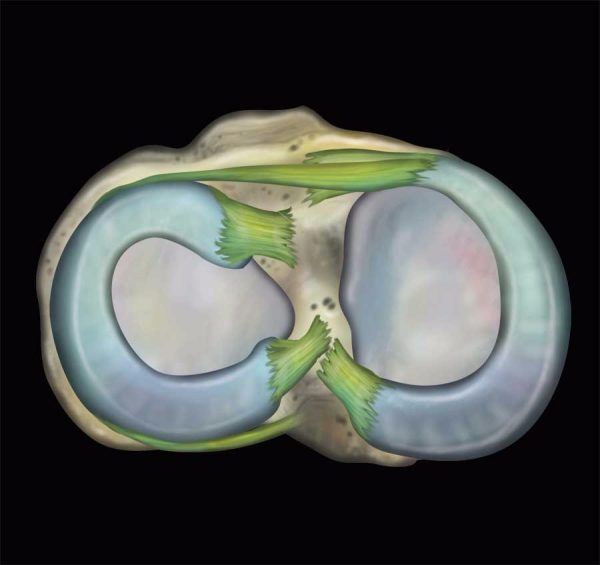 mrionline mri mastery series knee 2021 cme videos 63a135a0094c3 | Medical Books & CME Courses