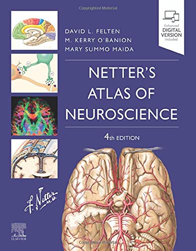 Netter’s Atlas of Neuroscience, 4th Edition (VIDEOS) 2 | Medical Books & CME Courses netters atlas of neuroscience 4th edition videos 63a147a5673ea | Medical Books & CME Courses