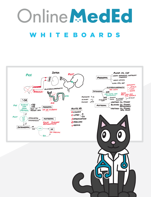 onlinemeded whiteboard snapshot for clinical science usmle step 2 2021 pdf 63a04ab414273 | Medical Books & CME Courses