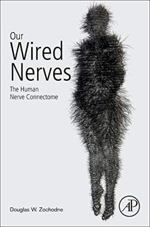 Our Wired Nerves: The Human Nerve Connectome (Original PDF from Publisher)