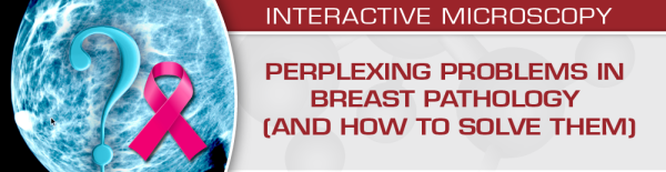 perplexing problems in breast pathology and how to solve them 2020 cme videos 638d3a41ba780 | Medical Books & CME Courses