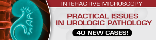 practical issues in urologic pathology 40 new cases2021 cme videos 63a1624d6f43d | Medical Books & CME Courses