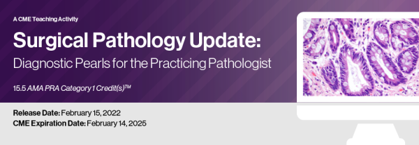 surgical pathology update diagnostic pearls for the practicing pathologist vol vi 2022 cme videos 63a218b0b3ea9 | Medical Books & CME Courses