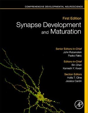 Synapse Development and Maturation: Comprehensive Developmental Neuroscience (Original PDF from Publisher)