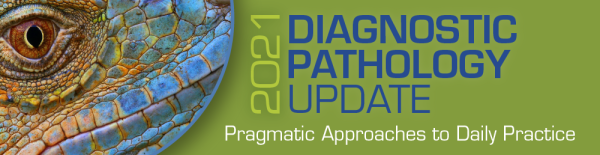 uscap 2021 diagnostic pathology update pragmatic approaches to daily practice cme videos 63a208a15a4dd | Medical Books & CME Courses