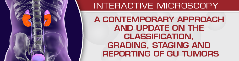 USCAP A Contemporary Approach and Update on the Classification, Grading, Staging and Reporting of GU Tumors 2021 (CME VIDEOS) 1 | Medical Books & CME Courses uscap a contemporary approach and update on the classification grading staging and reporting of gu tumors 2021 cme videos 63a19b9857d80 | Medical Books & CME Courses