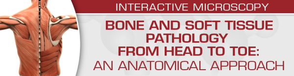 uscap bone and soft tissue pathology from head to toe an anatomical approach 2022 cme videos 63a1fe812658c | Medical Books & CME Courses