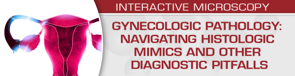 uscap gynecologic pathology navigating histologic mimics and other diagnostic pitfalls 2021 cme videos 63a194c692385 | Medical Books & CME Courses