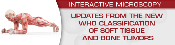 uscap updates from the new who classification of soft tissue and bone tumors 2020 cme videos 638ceb132e3c8 | Medical Books & CME Courses