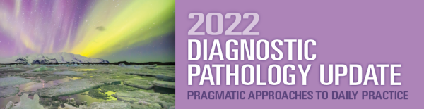 2022 diagnostic pathology update pragmatic approaches to daily practice cme videos 63ecec7a873eb | Medical Books & CME Courses