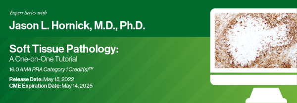 expert series with jason l hornick m d ph d soft tissue pathology a one on one tutorial 2022 cme videos 63ebbd3f776e8 | Medical Books & CME Courses