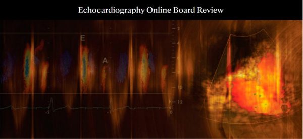 mayo clinic echocardiography online board review 2022 cme videos 63ec69f89ce96 | Medical Books & CME Courses