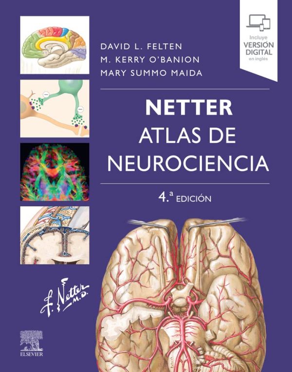 netter atlas de neurociencia 4 edicion original pdf from publisher 63ece6c1afbbf | Medical Books & CME Courses