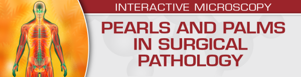 uscap pearls and palms in surgical pathology 2022 cme videos 63ee08dc1b94d | Medical Books & CME Courses