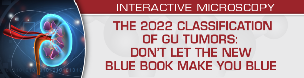 uscap the 2022 classification of gu tumors dont let the new blue book make you blue cme videos 63ee08c7deefb | Medical Books & CME Courses