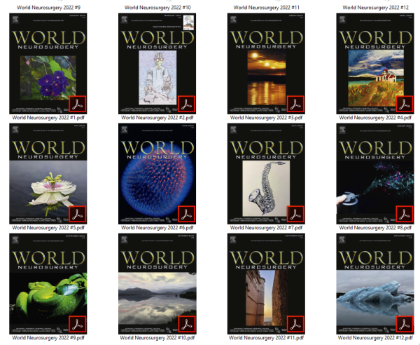 world neurosurgery 2022 full archives true pdf 63ec3b297fc42 | Medical Books & CME Courses