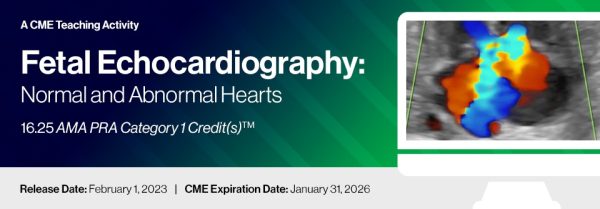 2023 fetal echocardiography normal and abnormal hearts cme videos 647fc8fce6d0f | Medical Books & CME Courses