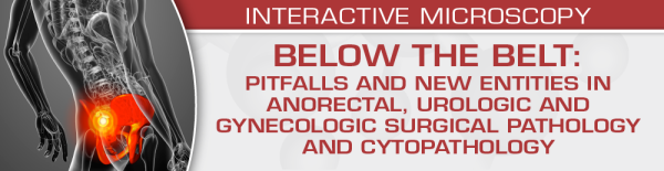 uscap below the belt pitfalls and new entities in anorectal urologic and gynecologic surgical pathology and cytopathology 2023 cme videos 647b34c5c247d | Medical Books & CME Courses