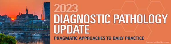 2023 diagnostic pathology update pragmatic approaches to daily practice uscap videos 65005f87402ca | Medical Books & CME Courses