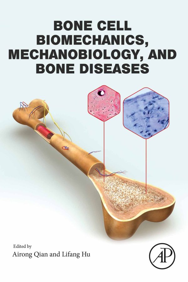 bone cell biomechanics mechanobiology and bone diseases epub 652153b075174 | Medical Books & CME Courses